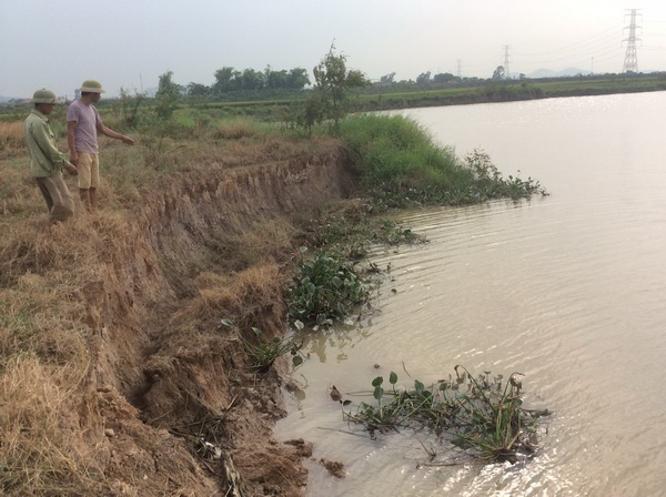 Thông tin từ đường dây nóng